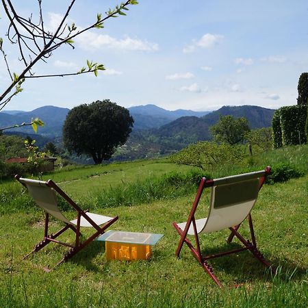 Mialet  Chambre D'Hote Dans Mas Proche Anduze Cevennes Avec Piscine المظهر الخارجي الصورة
