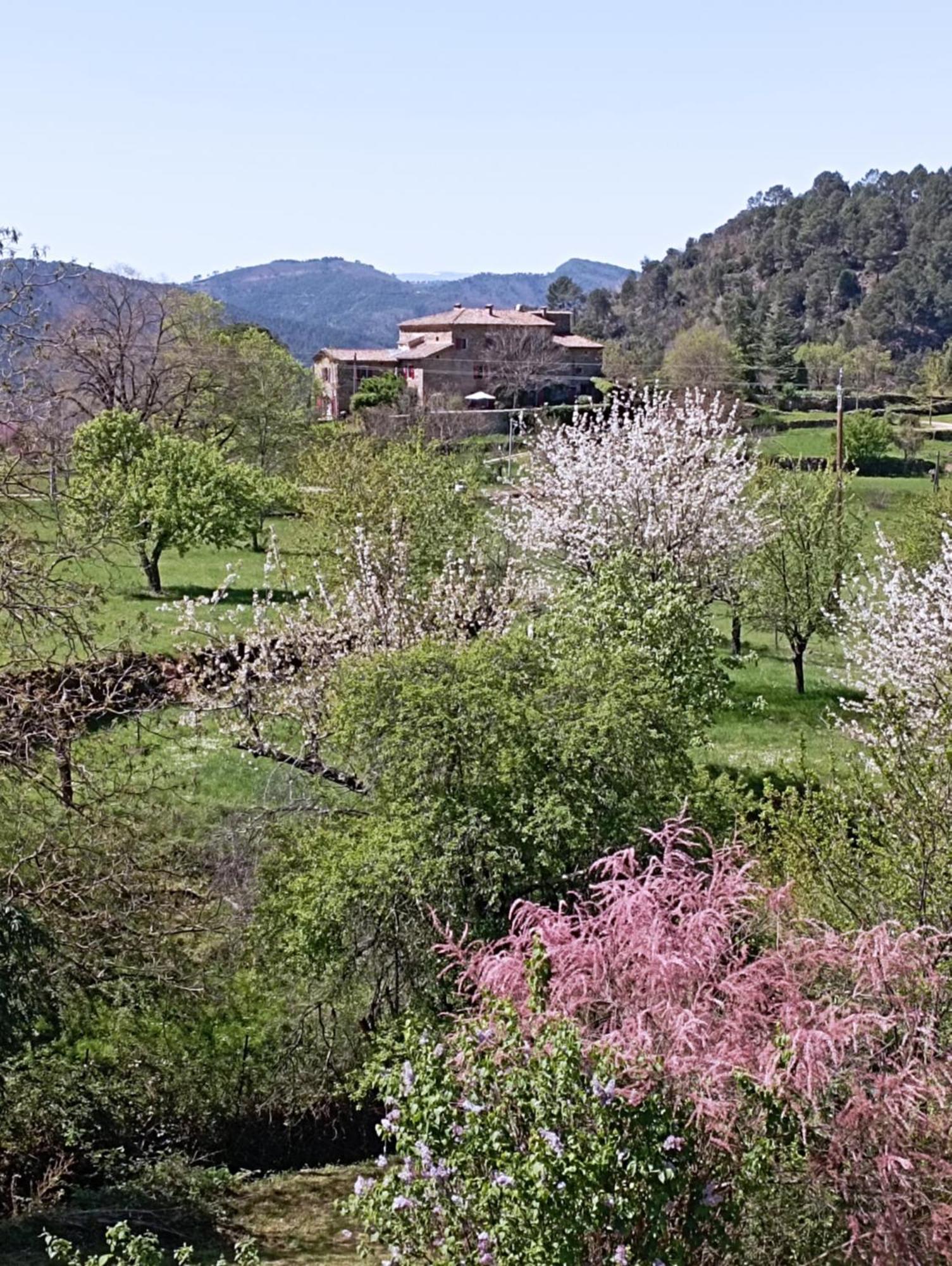 Mialet  Chambre D'Hote Dans Mas Proche Anduze Cevennes Avec Piscine المظهر الخارجي الصورة