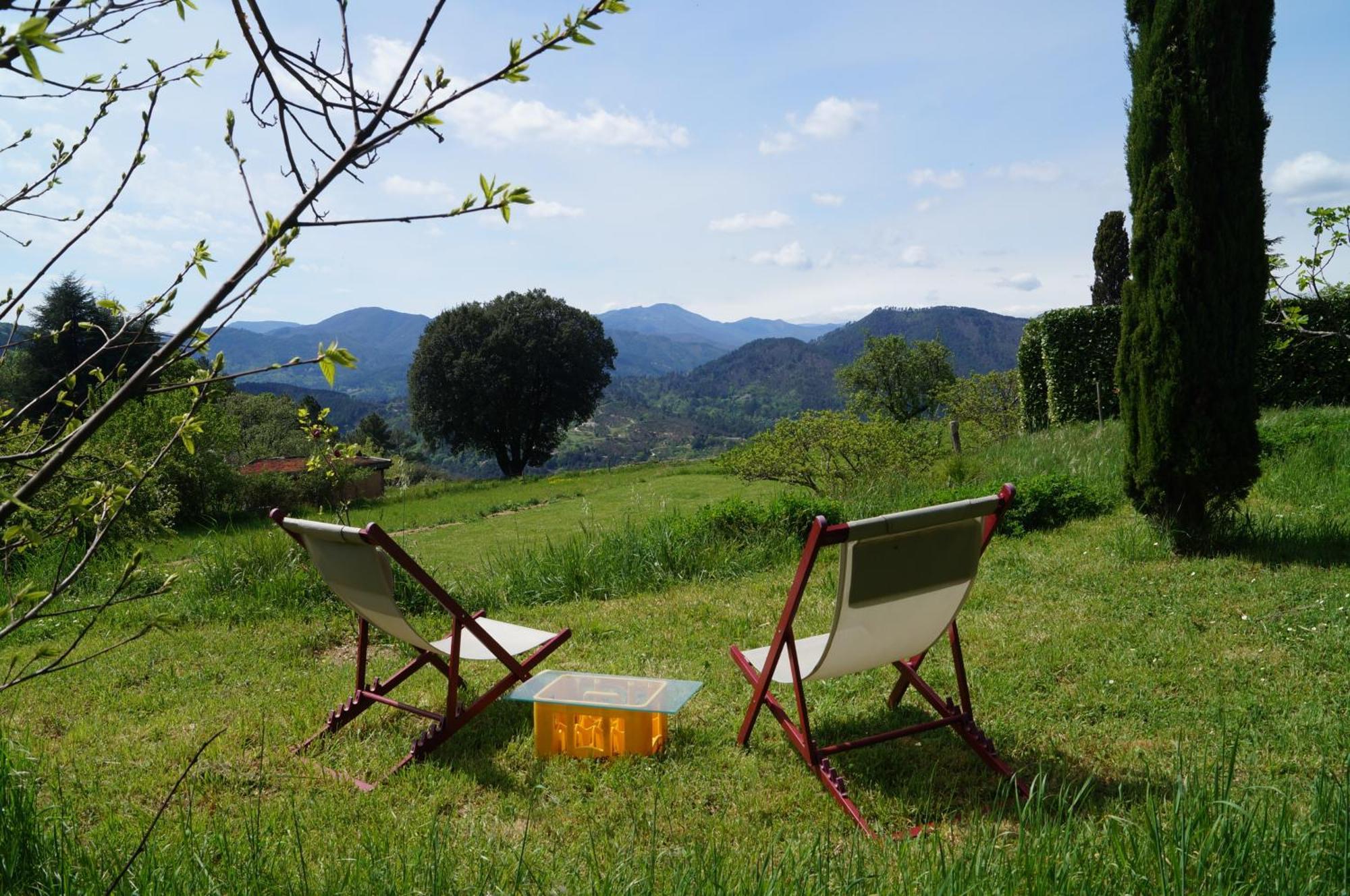 Mialet  Chambre D'Hote Dans Mas Proche Anduze Cevennes Avec Piscine المظهر الخارجي الصورة