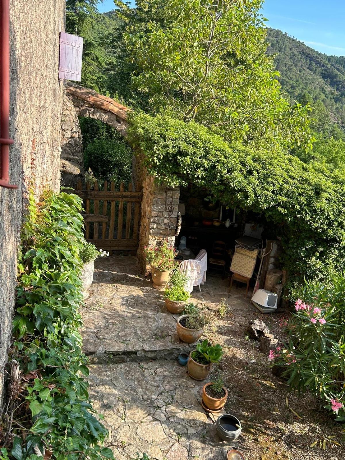 Mialet  Chambre D'Hote Dans Mas Proche Anduze Cevennes Avec Piscine المظهر الخارجي الصورة