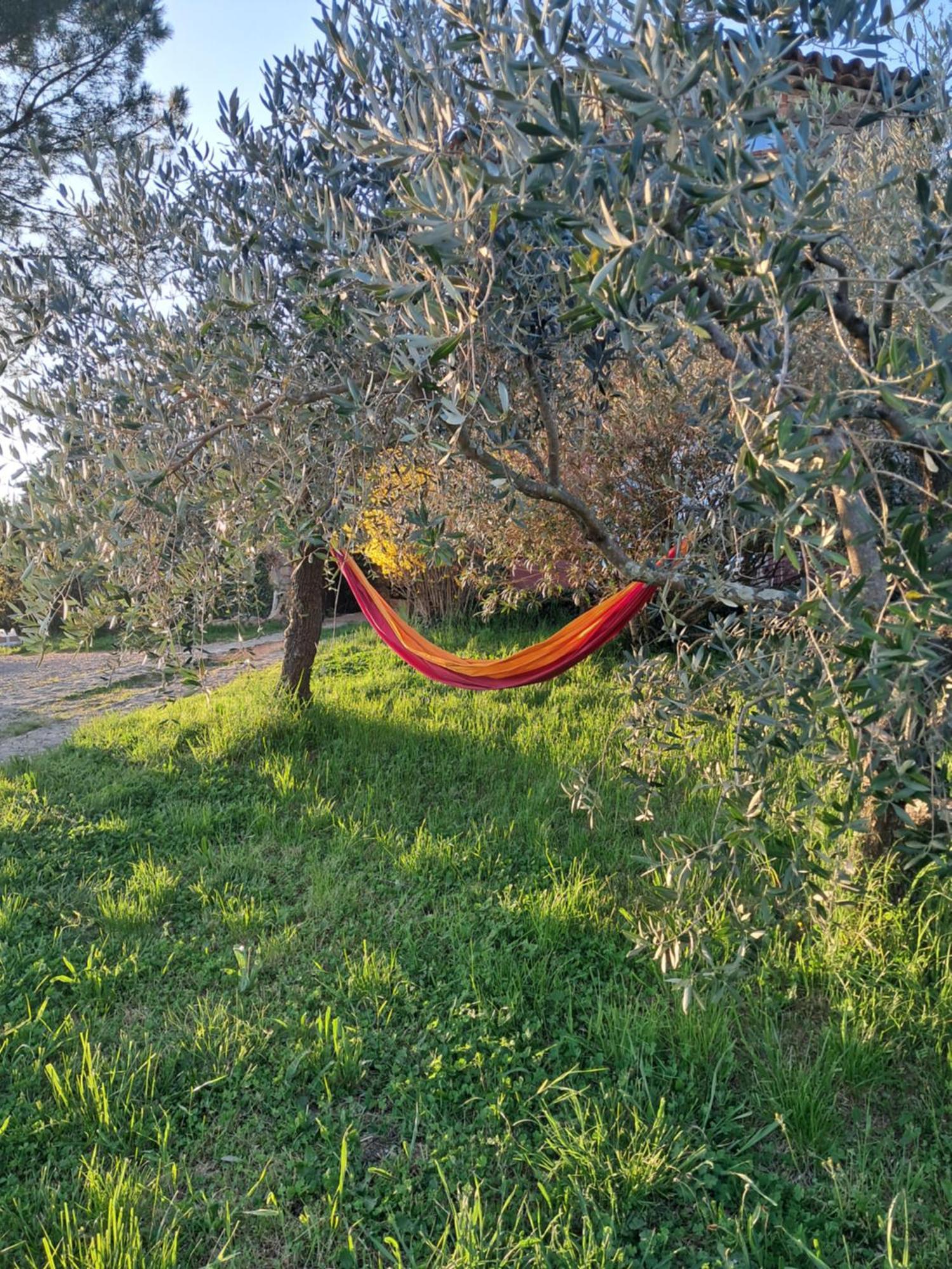 Mialet  Chambre D'Hote Dans Mas Proche Anduze Cevennes Avec Piscine المظهر الخارجي الصورة