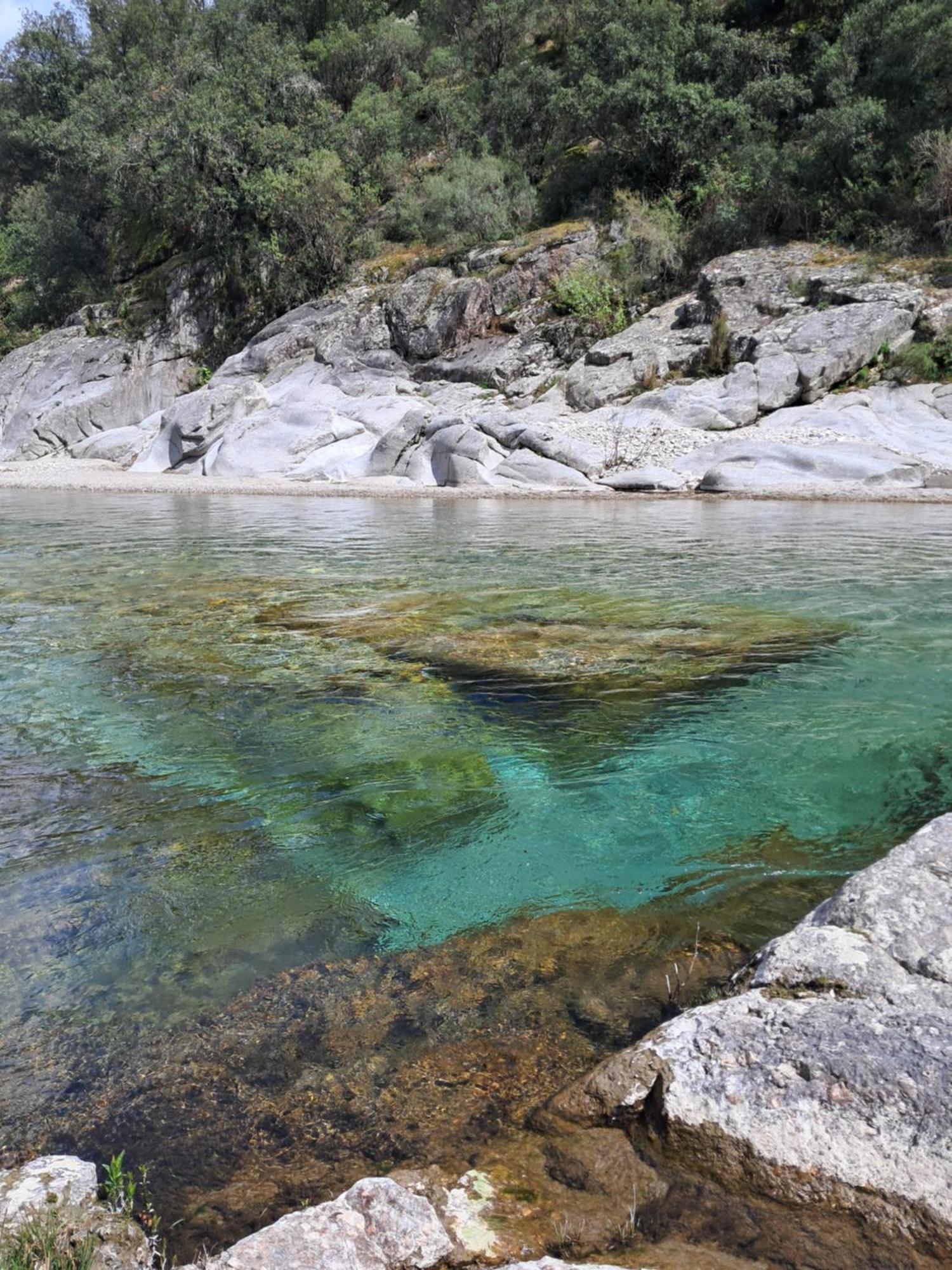 Mialet  Chambre D'Hote Dans Mas Proche Anduze Cevennes Avec Piscine المظهر الخارجي الصورة